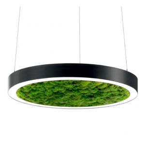 Moss-5060 LDCI подвесной светильник со мхом